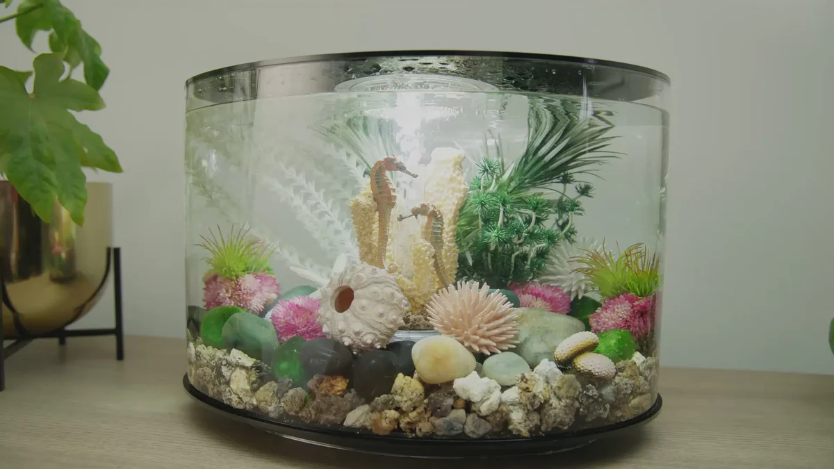 Stunning Habitats for Modern Living