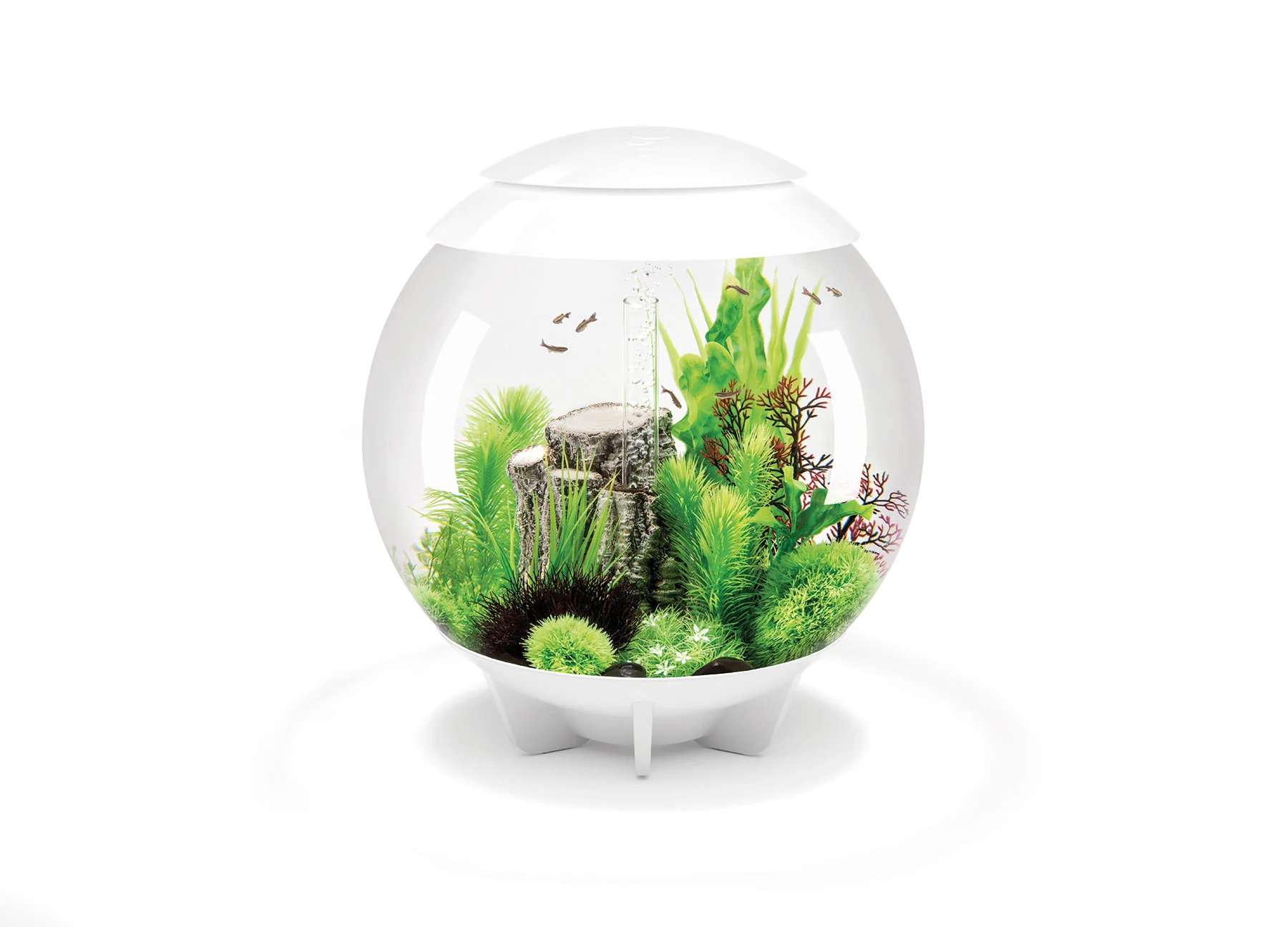 biOrb® Aquariums